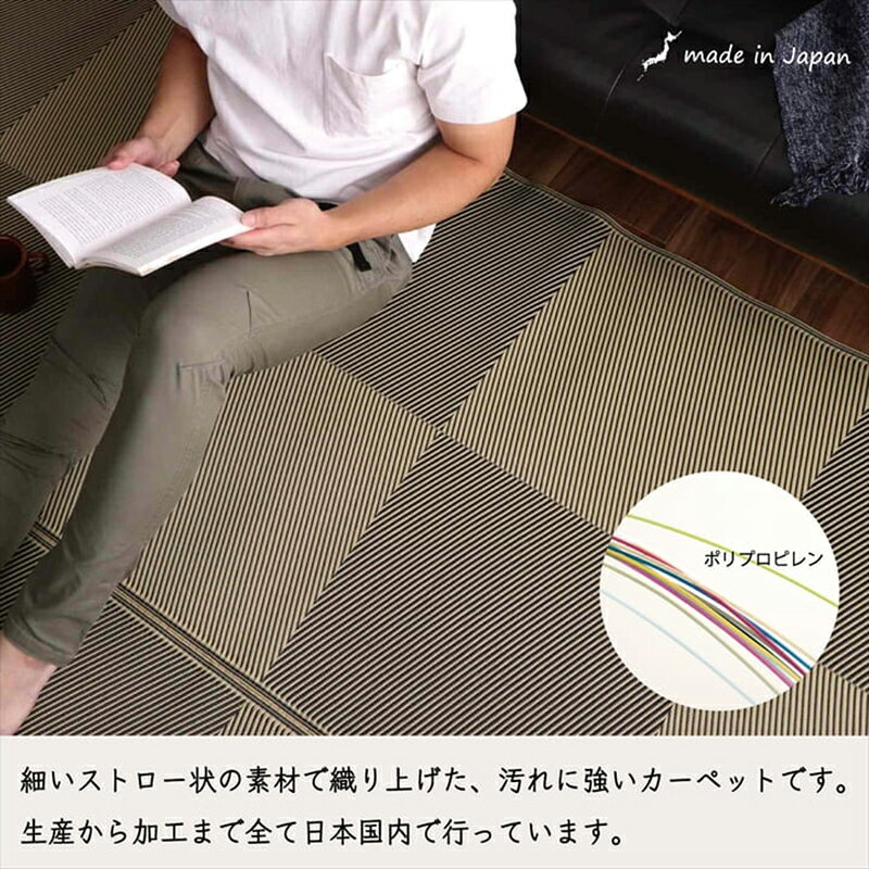 商品名【2枚セット】い草風ラグ LALU 畳風ラグ 夏 ラグ 洗える い草風カーペットサイズ 江戸間8畳 幅348 奥行352cmブラウン ブラック イ草風 ラグマット日本製 国産 軽量 傷防止 和モダン おしゃれ 絨毯和室 和風 モダン 防ダニ ゴザ 寝ござ 寝ゴザ 夏 [2]