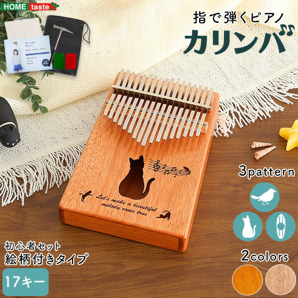 シンプル 指で弾くピアノ カリンバ初心者セット 絵柄付きタイプ SHZO