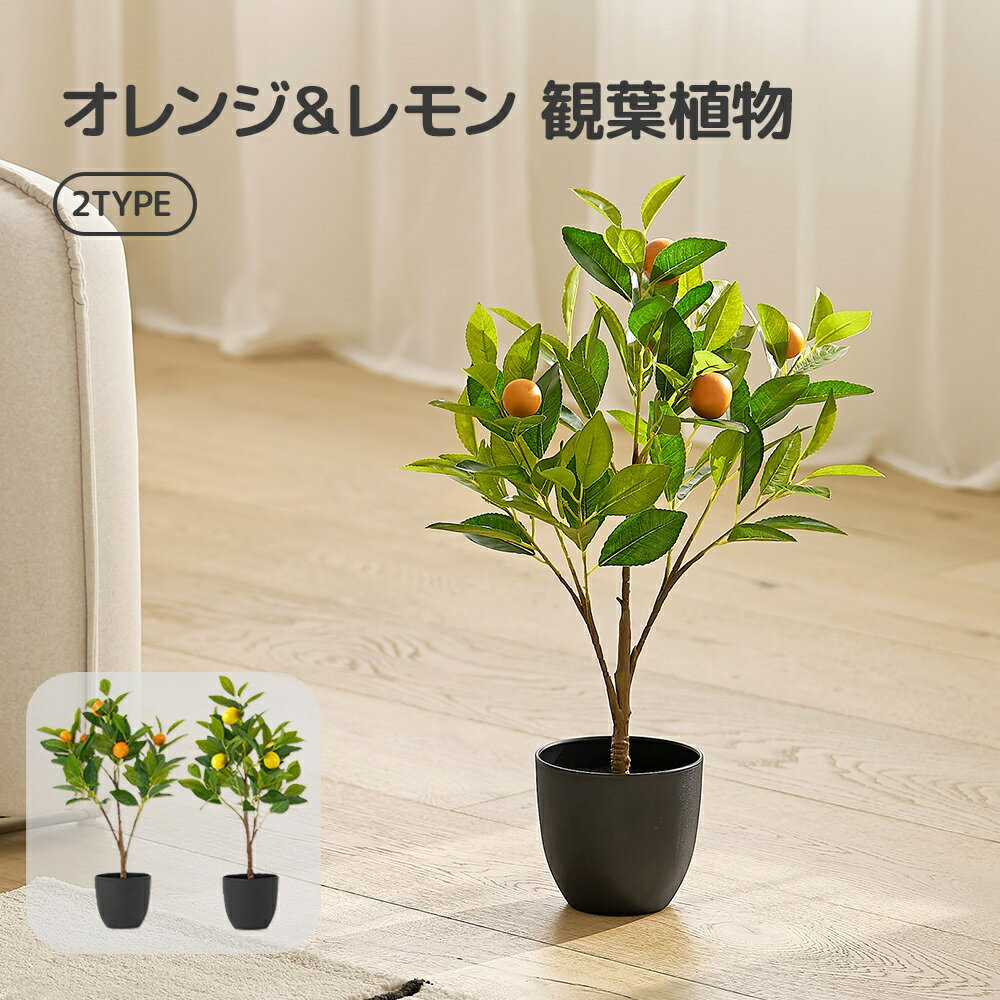 [60cm 2タイプ] オレンジ＆レモン人工 観葉植物 人工樹木 フェイクグリーン 初心者 インテリア シンプル プレゼント ギフトお祝い 造花 リアル おしゃれ 室内 リビング オフィス 枯れない コンパクト おしゃれ お手入れ簡単 植木鉢 天然木 高さ60cm