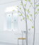 륹ƥå  Υȡ ̲ ե ꡼ ե ڡ Ļ ʸ ƥꥢ 륹ƥå wallsticker ž  ɻ ʥAROMA OF DAWN spring 