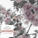【送料無料】【SAKURA PATEL 02】 ポスター 桜 サクラ 送料無料 