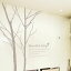 ֥륹ƥå  ̲ ե  Υȡ ƥꥢ  ӥ  Ҷ 륹ƥå  饤 wallsticker ž AROMA OF DAWN light ɥ ʥפ򸫤