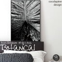 coco lapine design ポスター 北欧 botanical no2 ボタニカル 植物 アート 景色 モダン シンプル カフェ ドイツ ベルギー モ...