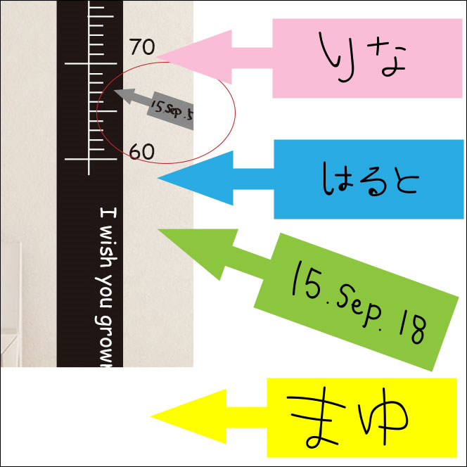 ウォールステッカー 身長計 矢印【同梱の場合送料無料】「買い足し用メモステッカー」シンプル 子供部屋 北欧 子ども部屋 キッズ 転写 ウオールステッカー インテリアシール お片付け 整理 お名前 ウォールシール memo