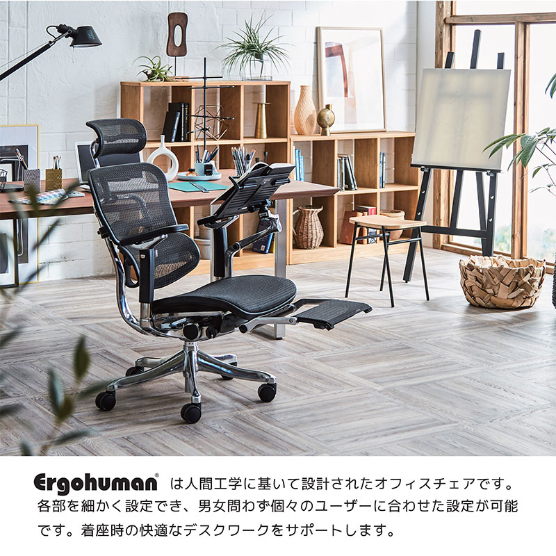 メーカー包装済 正規取扱店 エルゴヒューマン プロ Ehp Ham オフィスチェア ワークチェア オフィスチェアー ワークチェアー パソコンチェア 高機能チェア ヘッドレスト付き 肘置き メッシュ おすすめ 快適 テレワーク リモートワーク 在宅ワーク 関家具 今月限定 特別