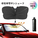 楽天市場人気商品