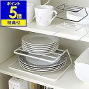 【特典付き】［ ディッシュストレージ ］ディッシュラック tower タワー DISH STORAGE ディッシュストレージ ディッシュスタンド 2段 キッチン収納 収納 お皿 皿 食器棚 食器 棚整理 食器収納 片付け 便利グッズ お皿収納 おしゃれ 北欧【ポイント5倍】 公式