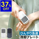 【SALE37%OFF】首 冷却 ネッククーラー 首元 冷やす 首もと ひんやり USB 充電式 ハンディクーラー コンパクト 扇風機 冷却グッズ 冷感 身体 熱中症対策 アウトドア キャンプ 暑さ対策 エレス IC-PT21［ iCool Porta / アイクール ポルタ ］