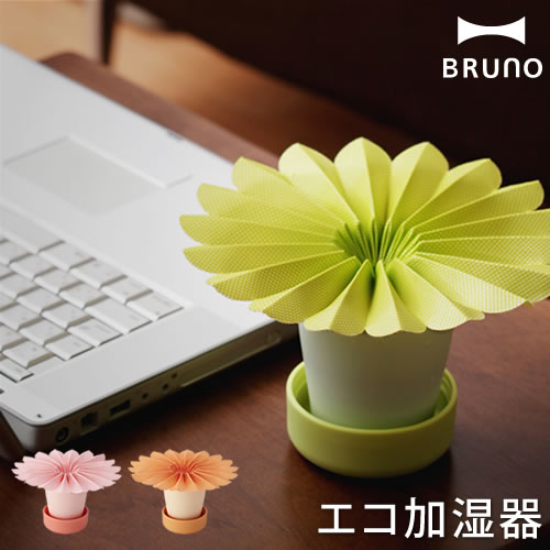 ü ü ü  ü ڡѡü    ü ü ü ѡʥ ѥ 襤 ߥ  ʥ š BRUNO ֥롼 Gerbera Pot ٥ݥå 