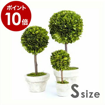 観葉植物 インテリア トピアリー 人工 プリザーブドトピアリー プリザーブドグリーン プリザーブドフラワー ボックスウッド 置物 ギフト プレゼント お祝い 贈り物【ポイント10倍】［ ボックスウッドトピアリー/BALL Size S ］