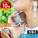 【特典付き】冷却プレート 瞬間冷却 コンパクト コードレス ネッククーラー ハンディクーラー 暑さ対策 熱中症対策 グッズ 屋外 携帯クーラー 充電式 カイロ ...
