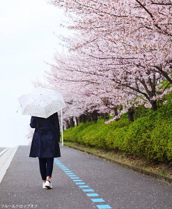 大人女子に おしゃれな北欧デザインの折りたたみ傘 晴雨兼用 軽量タイプなど のおすすめランキング わたしと 暮らし 大人女子に おしゃれな北欧デザインの折りたたみ傘 晴雨兼用 軽量タイプなど のおすすめランキング わたしと 暮らし
