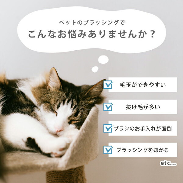 �ڥåȥ֥饷 �� ǭ ǭ�֥饷 ���֥饷 �֥�å��� ȴ���Ӽ�� û�� Ĺ�� �������� �ڥå����� ���롼�ߥ� ���ץå��� �ڥå��ѥ֥饷 �͵� �������� ���� ǭ�μ� ���襤��