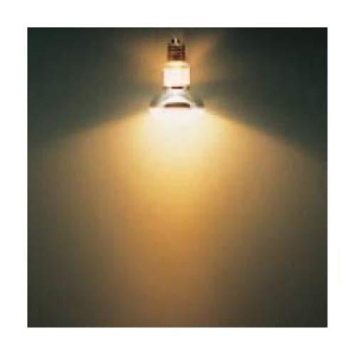 パナソニック ミニレフ電球 110V 50W形 E17口金 50mm径 ホワイト LR110V50WSK