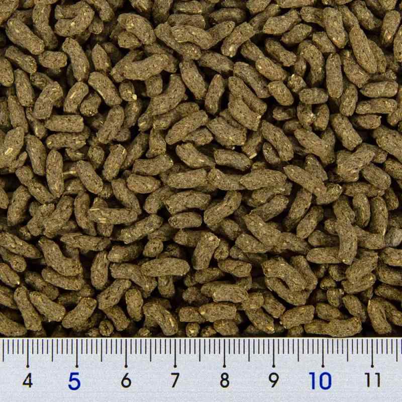 ジェックス ラビットプレミアムフード ダブルケア 800g root-house-10079617 RoothouseStore サンプル画像2