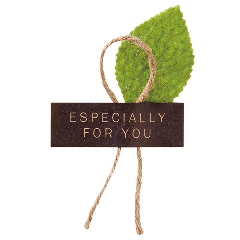 ���եȥ����� �ϥ�ɥᥤ�� �ʥ����� ��ܥ��� (20��) ZN-1S