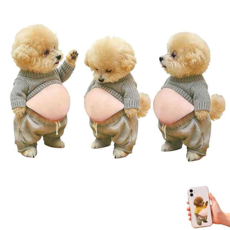 柴犬 テディ お腹 シール 3D【2026新型】柔らかいお腹 ぷにぷにシール かわいい 3D もっちりスクイーズ ステッカー シー ル帳 デコレーション 携帯電話飾り用 手帳用 日記帳用 车用 手芸用品 ( root-house-10126217 RoothouseStore パッケージ画像