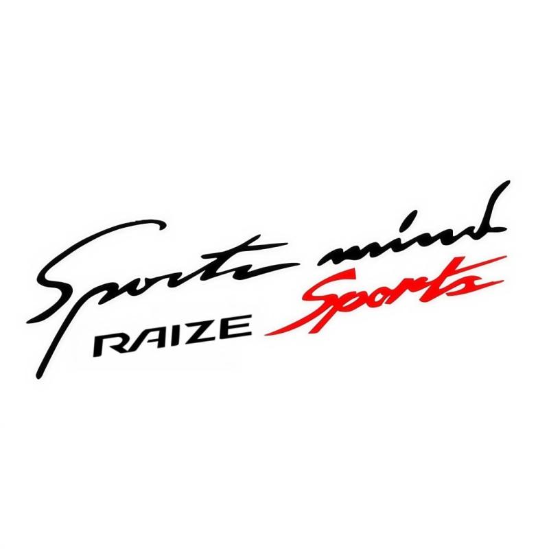 Rakuten - RAIZE 車のステッカー 1枚車用ライトアイブロウステッカー、ボンネット ステッカー スポーツマインドレターフロントカバーステッカー 車体装飾車のステッカー車のヘッドライトデカール (