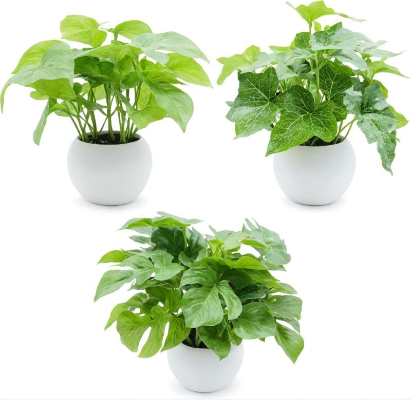 Rakuten - 光触媒 観葉植物 ミニ セット 3個 消臭・抗菌効果 フェイクグリーン 造花 観葉植物 フェイク インテリア用 おしゃれな人工植物 卓上飾り ギフトにも最適 フェイクグリーン ミニ (モンステラ
