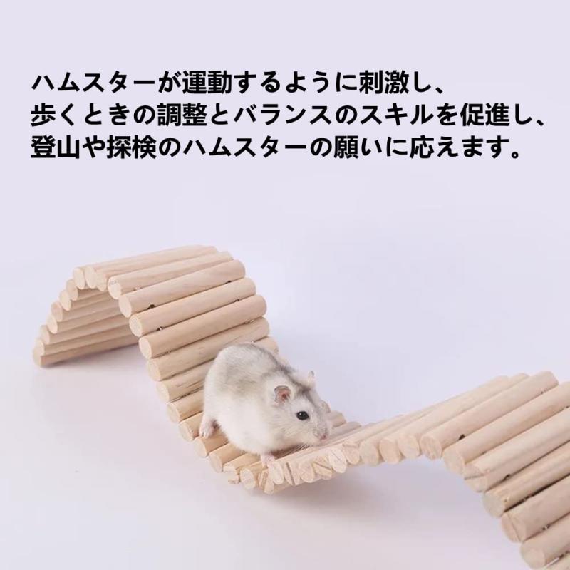 RoothouseStoreのMUYYIKA ハムスター はしご ステップ 歯磨き おもちゃ 天然木製 はしご モルモット ハリネズミ リス かじり木 嚙むおもちゃ ストレス 運動不足解消 あそび道具 小動物用おもちゃ｜アングル2