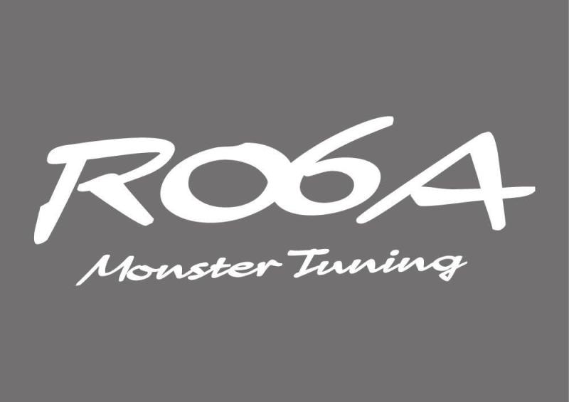 MONSTER SPORT R06A MONSTER Tuning ステッカー ホワイト 250×85mm 896175-0000M