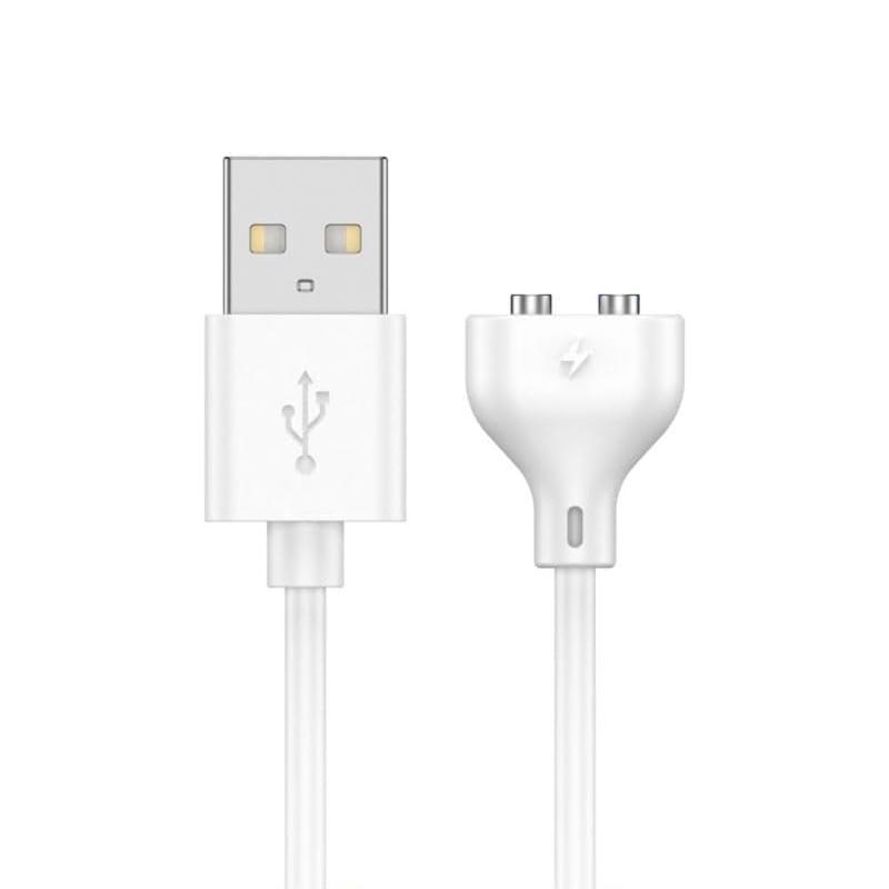 磁気充電ケーブル マグネット USB磁気吸引充電 2針間隔5 mm、電動玩具、洗顔器、保温カップ、USB磁気吸引データケーブル0.8 m、安定磁気吸着充電ケーブル、高速充電