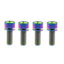 Dingtai 自転車Vブレーキハブ用ワッシャネジアレン六角ボルトを固定チタンの M6x16/18/20/25mm 4個の (カラー, M6x16mm)
