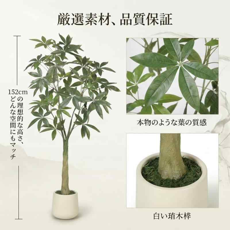 FEELEAD 新生活のインテリアに パキラ 人工観葉植物 150cm 大型 ねじり幹 フェイクグリーン 【光触媒 空気清浄】 root-house-10187605 RoothouseStore サンプル画像2