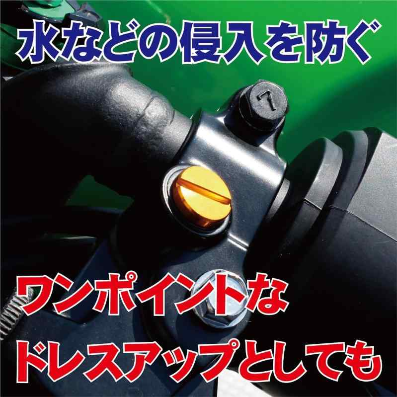 ポッシュフェイス(POSH FAITH) バイク用品 アルミカラードミラーホールカバーキャップ(1個入) M10-P1.25 正ネジ 1個入り ブルー 000806-01