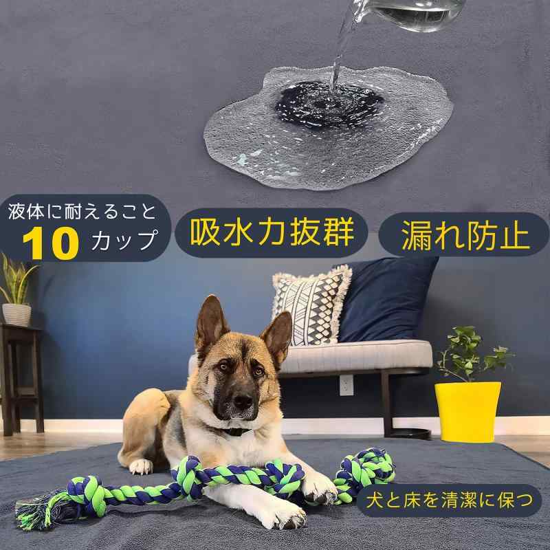 RoothouseStoreのLOOBANI 洗えるペットシーツ ペットマット ペット おしっこマット ペット用 トイレ下敷きマット 速乾 消臭 介護 制菌 超吸収 滑り止め 子犬/シニア犬の尿失禁を助ける再利用可能な防水マット｜アングル2