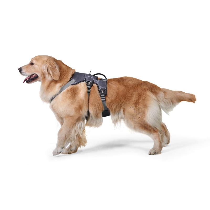 【正規品】TUFF HOUNDハーネス 犬 ソフトメッシュ 軽量 小型犬 中型犬 大型犬 胴輪 反射材 調節可能 通気性 長いバージョン 胴回り59-79cm 散歩用 二代目 S-XLサイズ(L, グレー)規格：Lサイズ：適合体重：17.5-22.5kg。耐えられる引っ張り力192kg。胴回り59-79cm。製品重量：0. 26kg。犬ハーネス簡単で首周りと胴回りの調整可能です、胴回りにバックルが2つ付いているので、ハーネスの着脱は、足を上げずに簡単に装着できます。ドッグハーネスの内側はメッシュ素材で、肌触りがソフトで、摩擦による痛みはありません、散歩中わんちゃんの体への負担を軽減できます。通気性良い、蒸れずにワンちゃんは快適です、濡れても乾きが早いです、夏でも使用できます。生地：新型のナイロン材質（以前の製品より30 %軽くなる）亜鉛合金D型錠(リードと繋がって、丈夫で抜け出す防止)。Drytekメッシュ（柔らかいメッシュの素材を採用して、通気性が高い）。反射材採用（夜間の視認性が確保でき、夜の散歩には大活躍）。引っ張り防止が役立つ：ペットハーネスの背中部分にハンドルが付きで、犬が狂う時や助けが必要な時は、愛犬を制御するためにハンドルを握ることができます。 また、階段を上がるとか、車中とか、愛犬を助けることができます。当社の犬リードを併用すると、柔らかい持ち手、強く引っ張っても衝撃を緩和させて手首を守れます特性：新型のナイロン材質が以前の製品より30 %軽くなります。犬が歩くときは、ハーネスが重すぎると脊椎神経を圧迫しまうので、当社は新型のナイロン材質を採用して、犬の負担を軽減し、快適に生活します。 　　　TRIFITシステム：力は多くの方位を均一に分散させます。 　　　耐引抜性高いと色落ちにくい：編み物はTH実験室の10000回の引抜テストと色保守テストを経て、丈夫で問題なしです。 　　　愛犬の健康を厳格に守り、傷しないため自由に走ることができます。注意事項：ペットに製品を噛み付かない為、使用済むと安全な場所に置いてください。保養：穏やかで洗濯して乾かしてください。