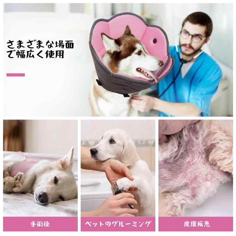 サンプル画像3