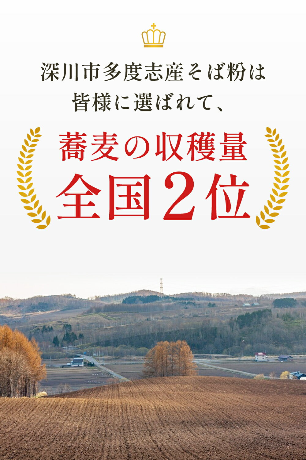 【そば粉500g1000円】｟お試し価格｠北海道 深川市多度志産 山蕎麦 そば粉 石臼挽き 挽きぐるみ 打ちやすい 2023年産玄そばを使用 風味豊か グルテンフリー 保存料無添加 高級 蕎麦がき 十割蕎麦 田舎蕎麦 小麦粉代用 ガレット 蕎麦湯 国産 北海道産 二八そば 更科そば 3