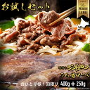 お試しセット (送料無料) ラム肉 お試しセット 味付きジンギスカン 400g ラム肩ロース 250g 合計650g ブロック セット 鍋 ギフト ラム お取り寄せ 赤身 生ラム肉 新鮮 焼き肉 羊肉 仔羊肉 厚切 父の日