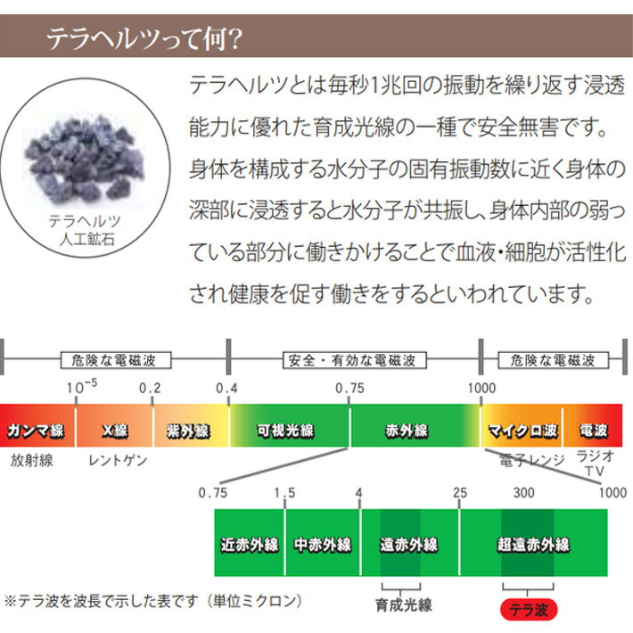 日本製 外反母趾ラックサポ (左右1足組) 外反母趾 内反小趾 サポーター 血行 薄手 健康雑貨 テラヘルツ テラヘルツ鉱石配合 ベージュ 綿 コットン ギフト プレゼント 母の日 父の日 送料無料 ショート 外反拇指 外反拇趾 矯正 ソックス 重ね履き 予防 足 痛くない 薄い