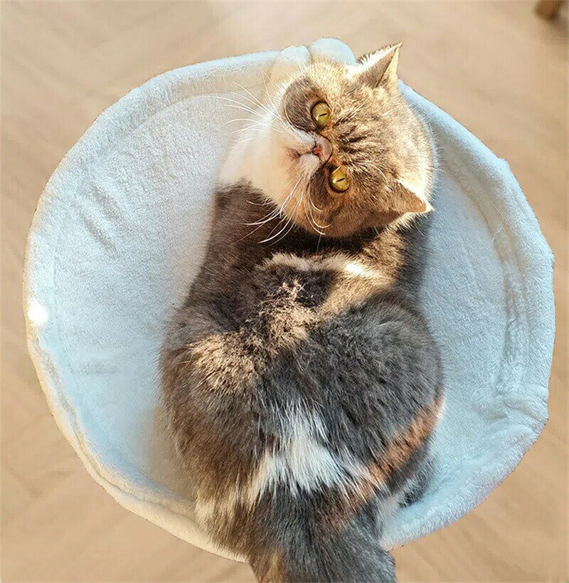 猫用ベッド ベッド 省スペースな半円形 柔らかな感触 多様な机に適合 耐荷重20kg ...