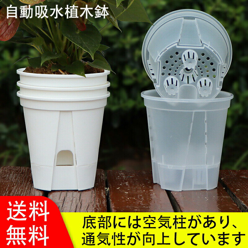 貯水透明鉢 園芸鉢 観葉植物の植え替え 根が見える鉢 クリア 半透明 観葉植物の鉢 植木鉢 プラスチック 観葉植物 鉢 通気性 根腐れ防止 高排水性 送料無料