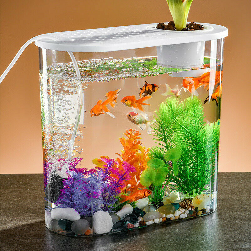 ルーツの金魚鉢 水槽 飼育水槽 プラスチックガラスポット 透明アクリル 観葉植物 インテリア 飾り コンテナ テーブル 水耕栽培 大容量 インテリア 植物栽培｜アングル2