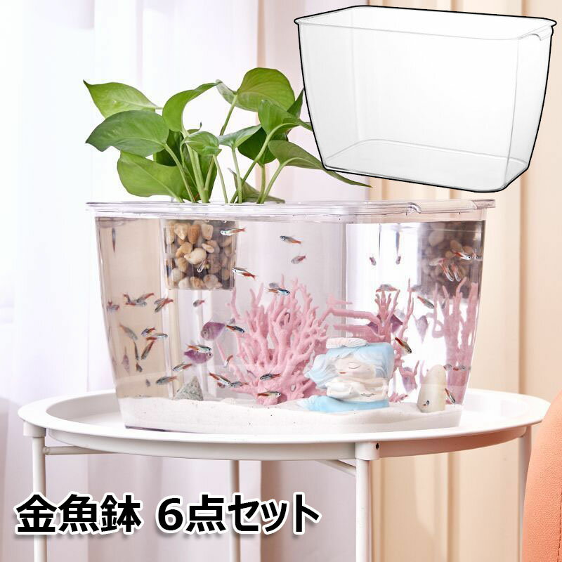 6�����å� ���ȭ �ץ饹���å� ���� ��� ��������� ���� ������ �������ꥦ�� Ʃ�� �����ȭ ���� ���տ�ʪ ����ƥꥢ �� ����� ����� �ƴ� �ơ�...