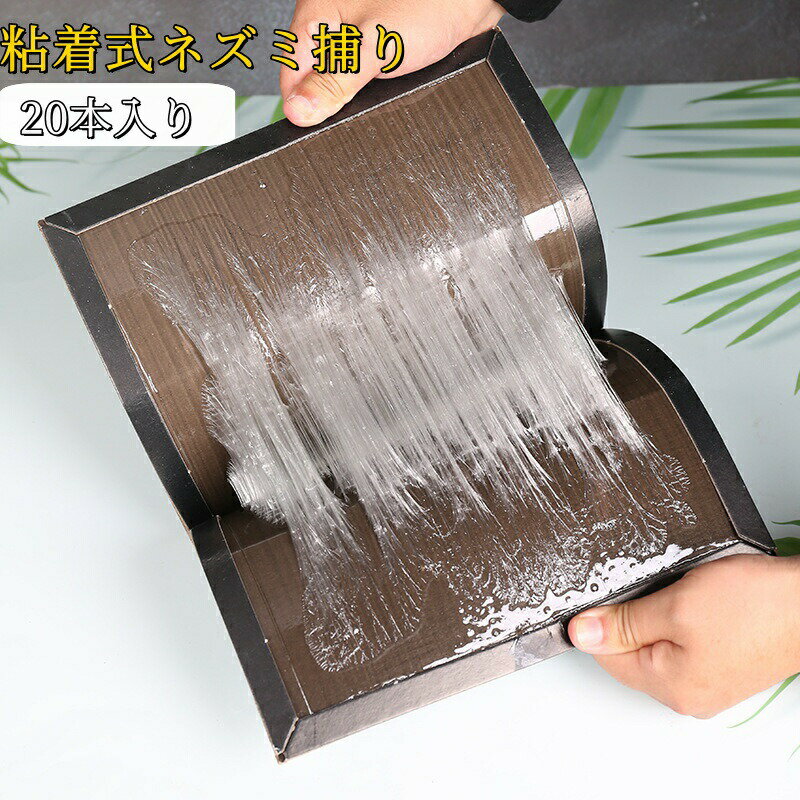 粘着式ネズミ捕り プロシートA 1箱（20枚入） 耐水性シート 粘着板 ネズミ退治(3.0)