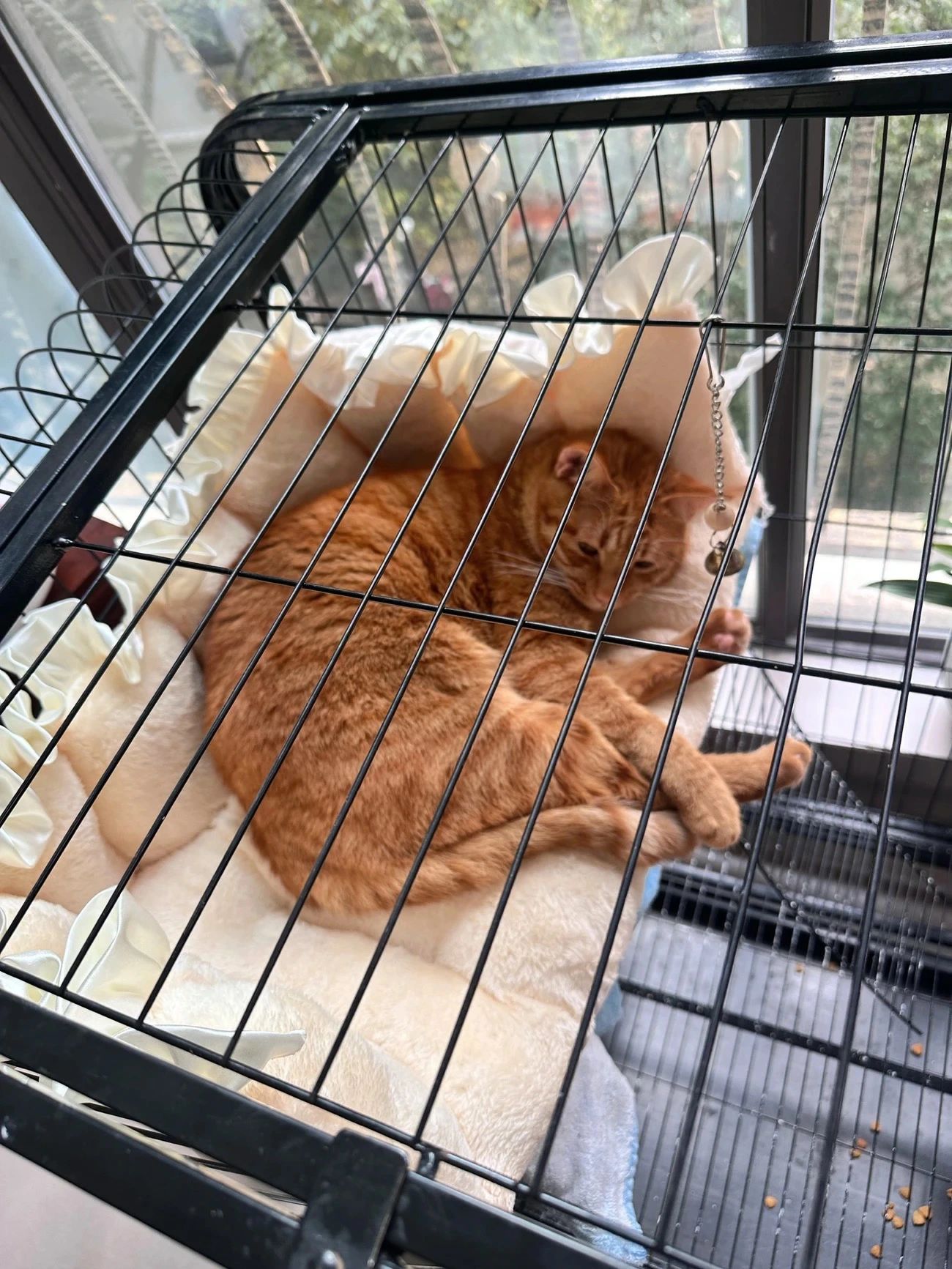 猫 ケージ マット 冬 猫用ハンモック ケージ用 四隅紐付き 固定 洗える 暖かい あ...