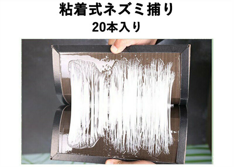 粘着式ネズミ捕り プロシートA 1箱（20枚入） 耐水性シート 粘着板 ネズミ退治