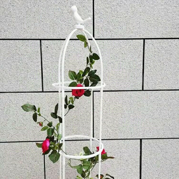 �⤵Ĵ���ǽ ��°�� �Х��� �����ǥ˥� �⤵ �� �ֻ٤� ���� �ʰ���Ω�� Ͷ�� �Ĥ�� ���٥ꥹ�� �����ǥ� �ȥ�ꥹ ����ñ ������� ����ޥ��� �Х� �� �� ��ʪ���ݡ��� ���٥ꥹ�������� �ץ�󥿡� ����ȭ ���� �������