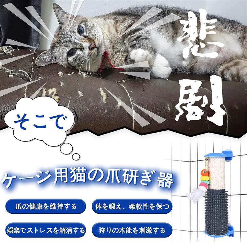 ��������ǭ�޸��� ǭ�޸����ݡ��� ����դ�����ñ ǭ�ޤȤ� �ޤ��᤯ ǭ�Υ��ȥ쥹����¤����޸��� �������� �֥饷 ��������դ��ʤ�