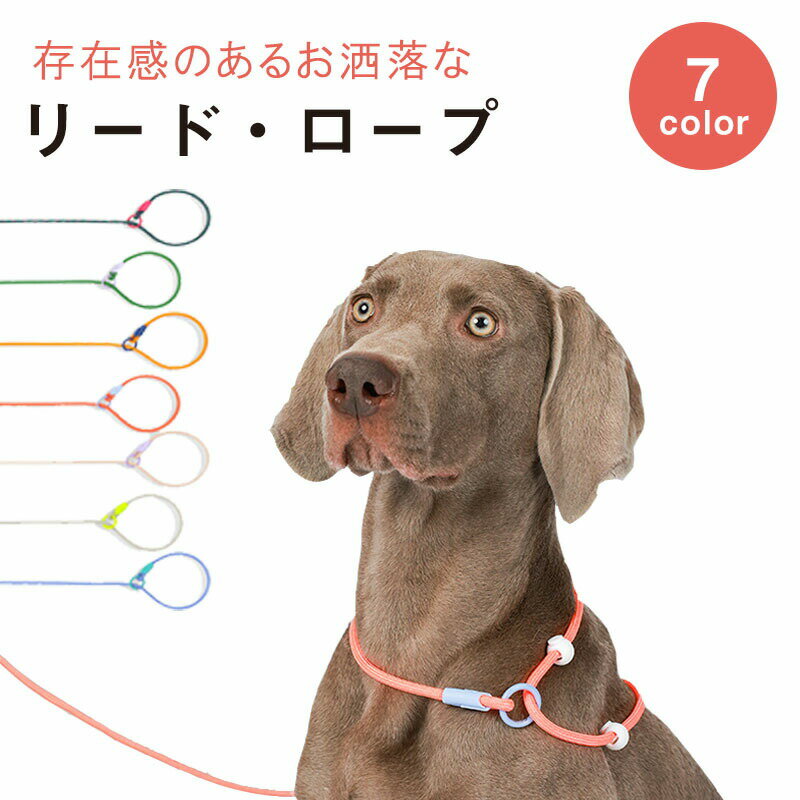 乐天商城 - 小型犬用リード 訓練用犬用スリップリード 脱走防止 中型犬用 ネックスリップハーネス ハーネスダブルリミットデザイン訓練リード ペット用品 チェーン 引っ張り防止リード 噛み付き防止犬用リード 訓練用リーシュ ペット咬傷防止ロープ