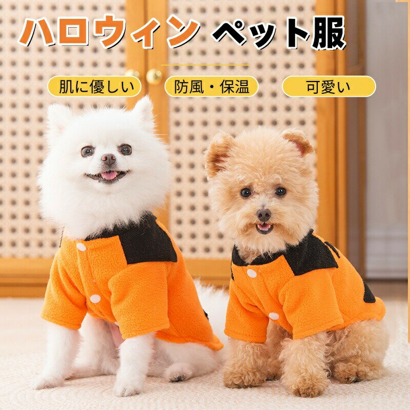 Rakuten - ペット服 ハロウィン 犬服 猫服 オレンジ かぼちゃ 犬の服 小型犬 中型犬 コスチューム 猫の服 仮装 変装 カボチャドッグウェア 犬 コスプレ 衣装 仮装 クリスマス 変装 面白い 可愛い 変身服 お出掛け 毛抜け防止 ギフト パーティー 写真撮影