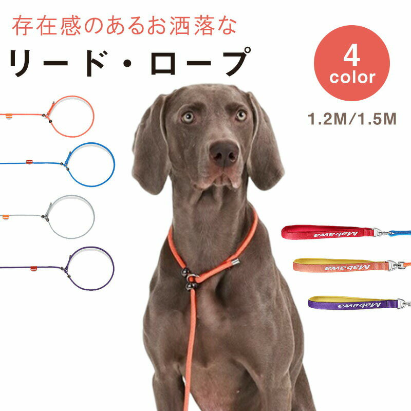 Rakuten - 犬用リード 首輪リード一体型頑丈 ナイロン製 アウトドアトレーニング訓練用調節可能スリップリード回転カン絡まりにくいペットペットグッズ 散歩用1.2m 1.5m 頑丈小型犬用リードしつけ 散歩 訓練用犬用スリップリード