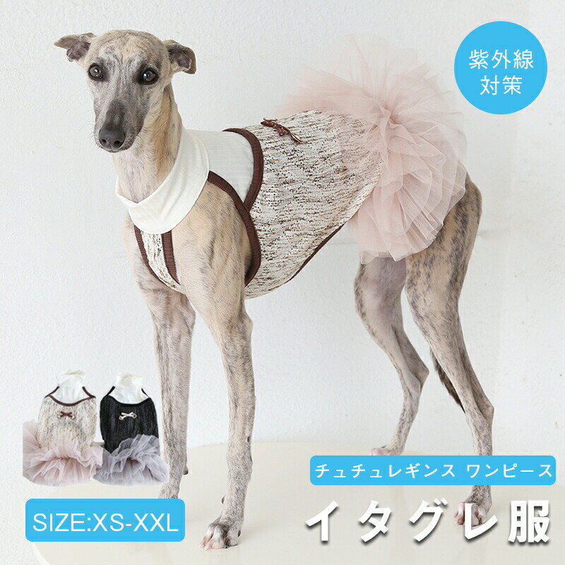 Rakuten - チュチュレギンスワンピース 室内着 イタグレ イタリアングレーハウンド イタリアングレイハウンド ウィペット 服 ベドリントンテリア 犬 服 春 夏 イタグレ服