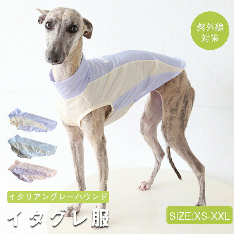 【新作登場】イタリアングレーハウンド ミニピン 服 夏服 イタグレ ペット 服 犬 服 春 夏 ナイロン ハイネック タンクトップ スポーティータンク 速乾仕様 熱中症対策 シンプル 部屋着 お出かけ ストレッチ素材 機能性素材