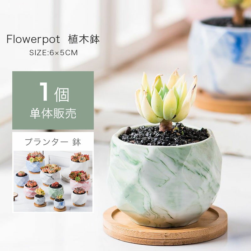 乐天商城 - 植木鉢 ガーデニングオブジェ 可愛い多肉植物用鉢 室内植物用可愛い鉢 ガーデンデコレーション ガーデニングオブジェ 鉢植え プレゼント用ユニークな植木鉢 送料無料